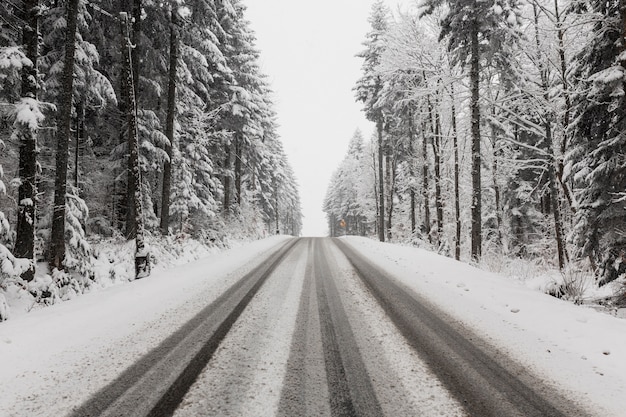 Camino a través del bosque de invierno