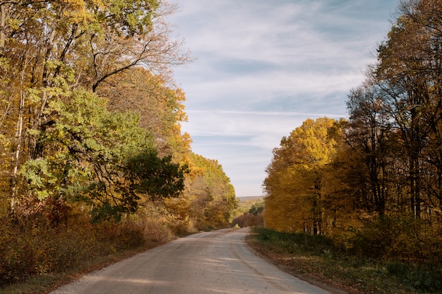 Foto gratuita camino a través del bosque de otoño