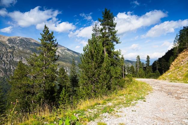 camino a través de las montañas del bosque