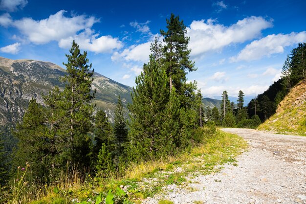 camino a través de las montañas del bosque