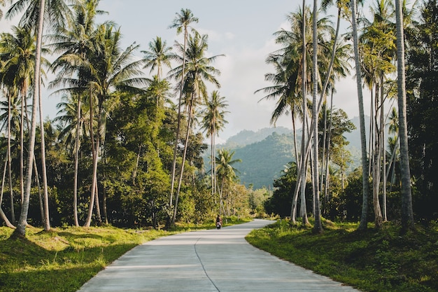 Camino tropical en el paraíso de Tailandia