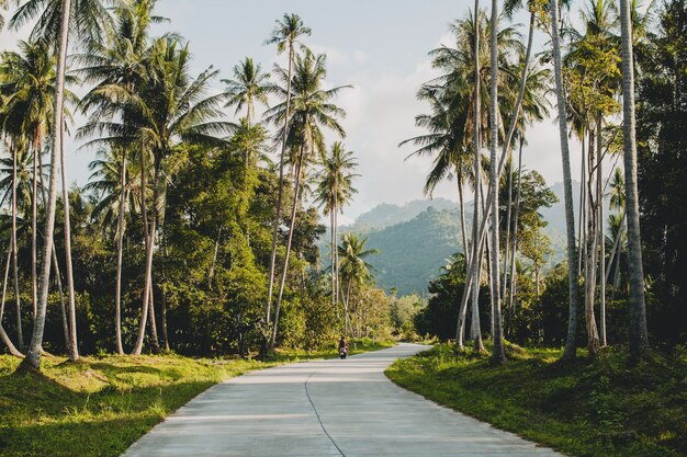 Camino tropical en el paraíso de Tailandia