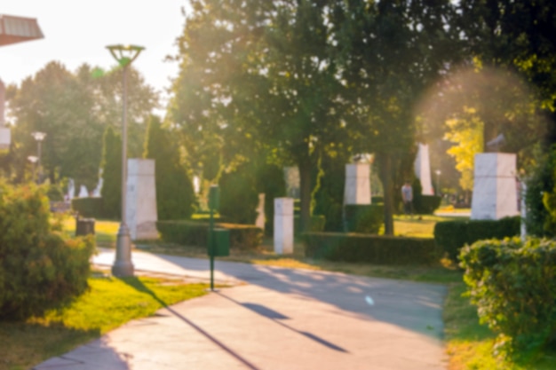 Caminos en el parque en verano