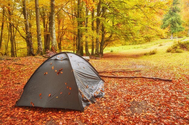 Campamento turístico en el bosque de otoño con follaje rojo y amarillo.