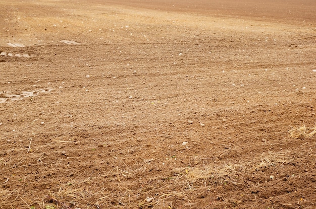 Campo arado con huellas de neumáticos en el lateral