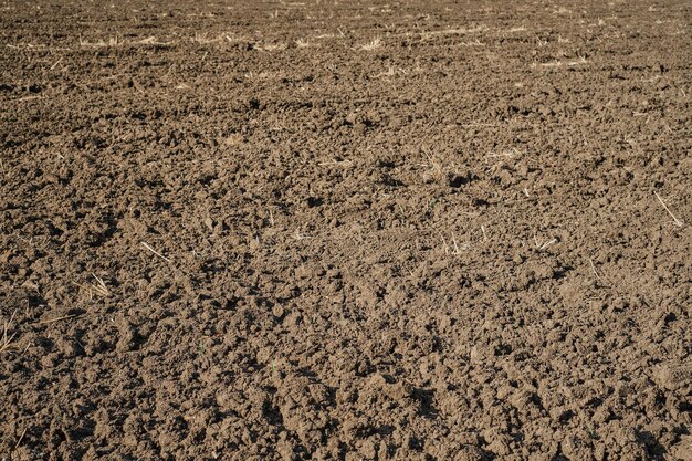 Campo arado en primavera preparación para sembrar cultivos Cuidar la ecología de la tierra trabajo agrícola en la finca