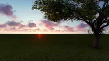 Foto gratuita campo con un árbol por la noche