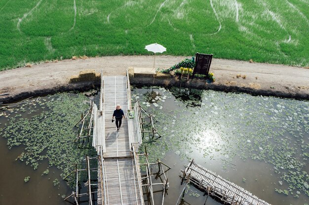 campo de arroz y gente en puente caminando en Tailandia