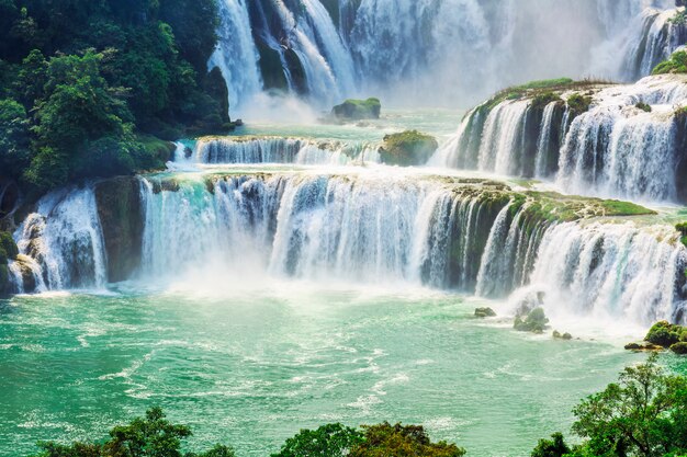 Campo bosque cascada verano verde