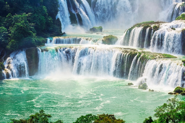 Campo bosque cascada verano verde