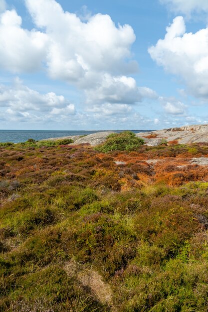 Campo cubierto de hierba y rocas rodeado por un río bajo la luz del sol durante el día