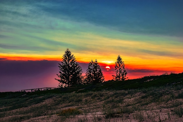 Campo cubierto de hierba con siluetas de árboles durante una hermosa puesta de sol en la noche