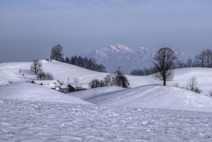 Foto gratuito campo cubierto de nieve con árboles desnudos y montañas en la distancia