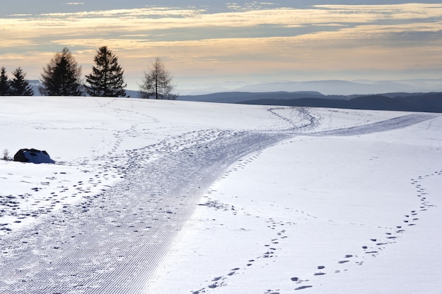 Campo cubierto de nieve con colinas y vegetación en el fondo durante la puesta de sol