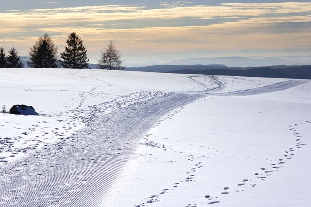 Campo cubierto de nieve con colinas y vegetación en el fondo durante la puesta de sol