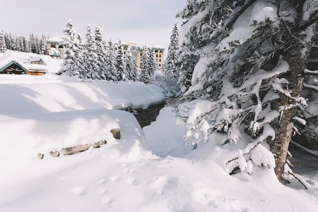 Campo cubierto de nieve en invierno