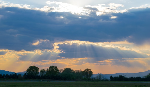 Campo cubierto de vegetación bajo un cielo nublado durante una hermosa puesta de sol en la noche