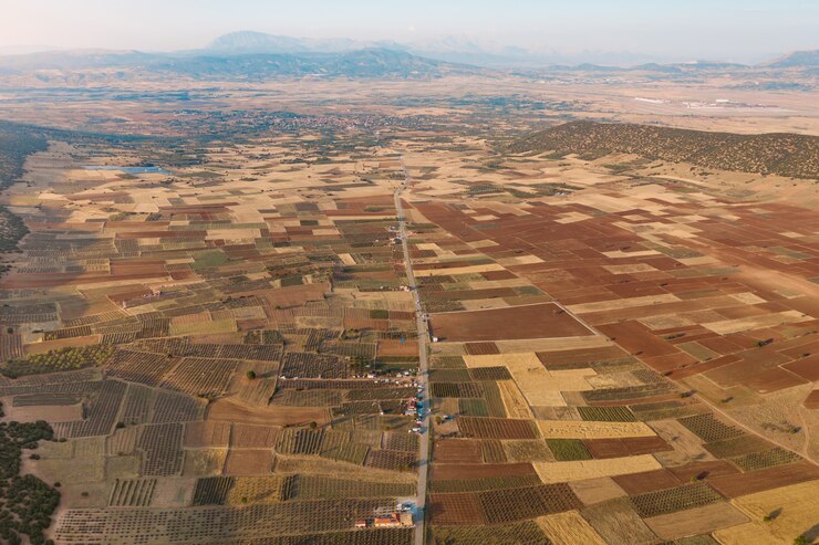 Foto gratuito campo cultivado desde arriba.