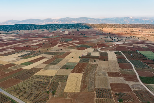 Campo cultivado desde arriba.