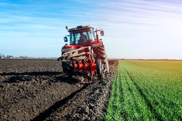 Campo de cultivo de la máquina agrícola del tractor