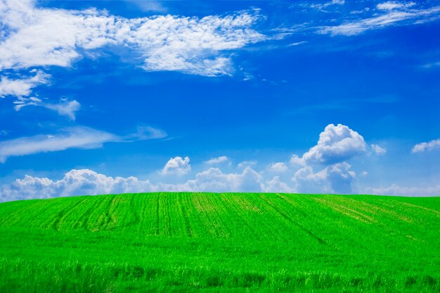 Campo de cultivo con nubes