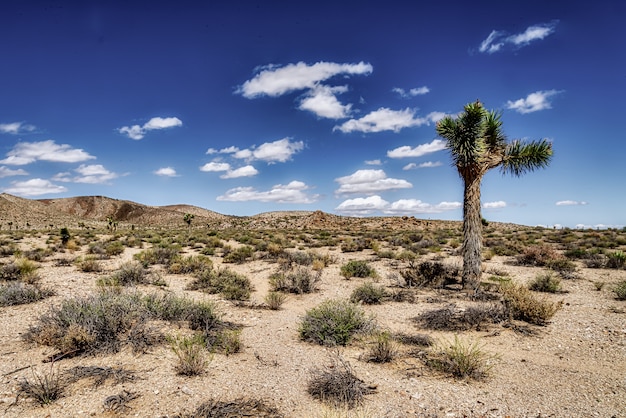 Campo desierto abierto con hermosas colinas y un cielo azul nublado