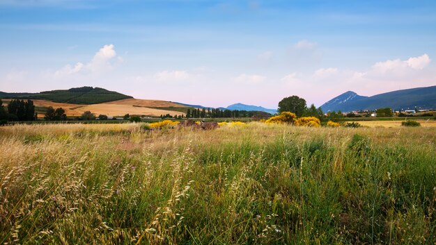 Campo en las estribaciones. Navarra