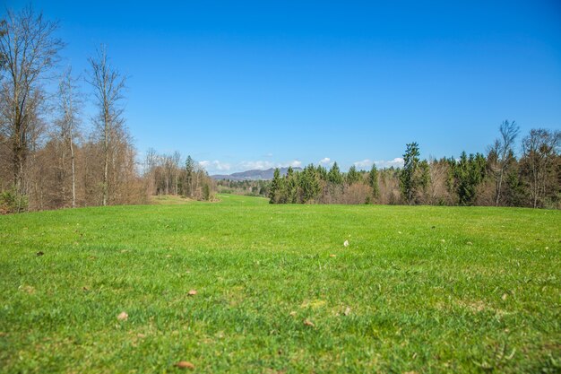 Campo de golf en Otocec, Eslovenia en un día soleado de verano