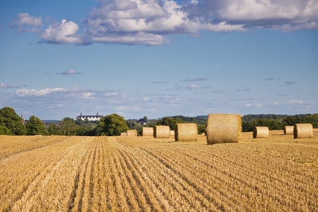 Campo de grano cosechado capturado en un día soleado con algunas nubes en Alemania