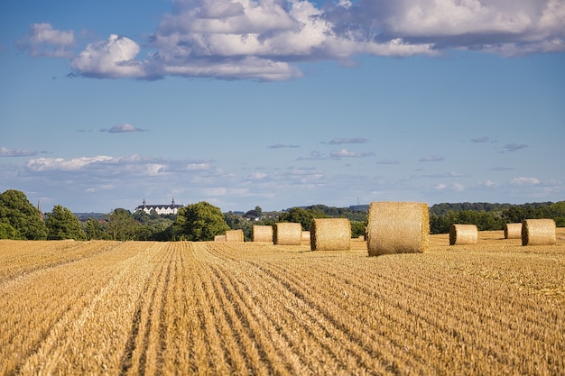 Campo de grano cosechado capturado en un día soleado con algunas nubes en Alemania
