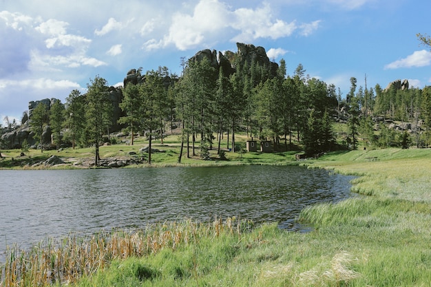 Campo de hierba con árboles cerca del agua en un día soleado