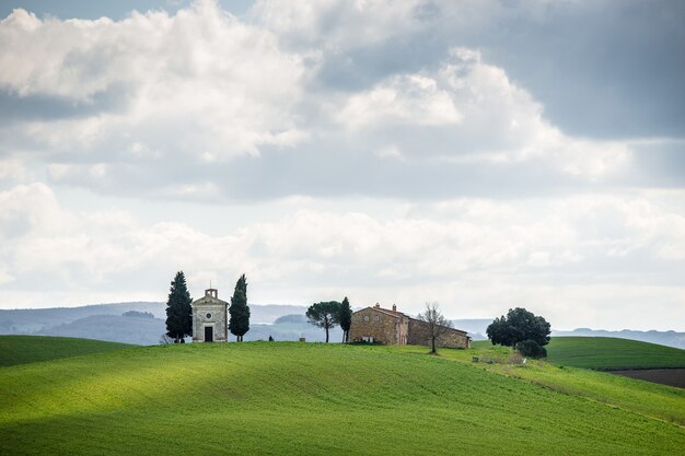 Campo de hierba con árboles y edificios en la distancia bajo un cielo nublado