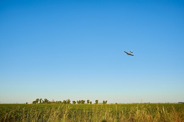 Campo de hierba con un avión volando sobre ellos en un cielo azul