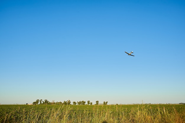 Campo de hierba con un avión volando sobre ellos en un cielo azul