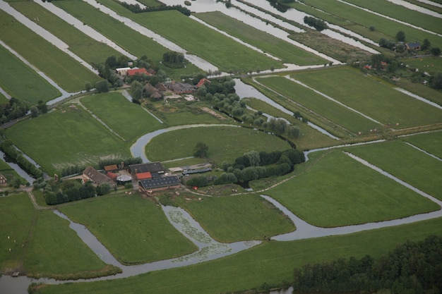 Campo de hierba con casa y árboles en el pólder holandés