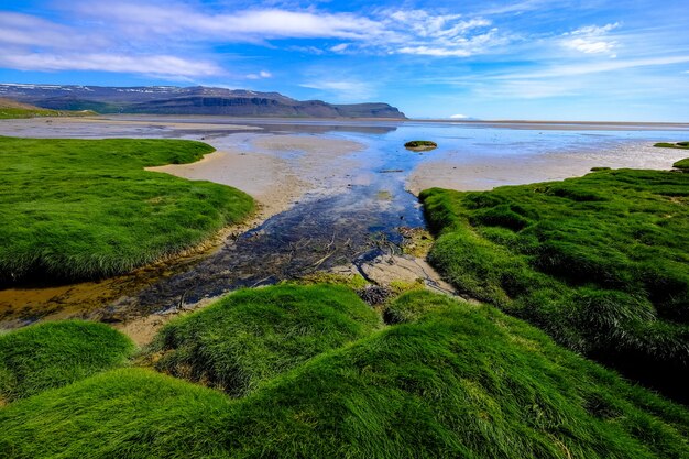 Campo de hierba cerca de una orilla del mar con montañas en la distancia durante el día