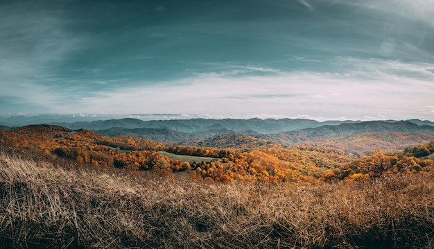 Campo de hierba en un día nublado