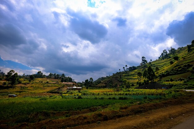 Campo de hierba con un edificio en la distancia cerca de una colina con árboles y cielo nublado