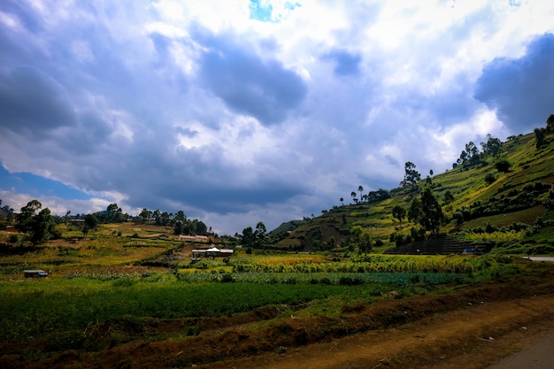 Campo de hierba con un edificio en la distancia cerca de una colina con árboles y cielo nublado