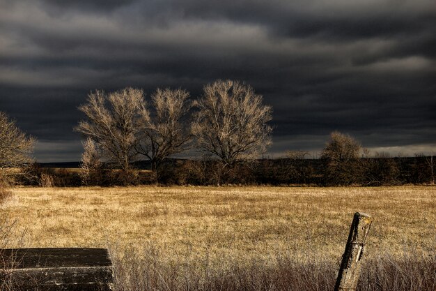 Campo de hierba marrón bajo cielo negro durante la noche