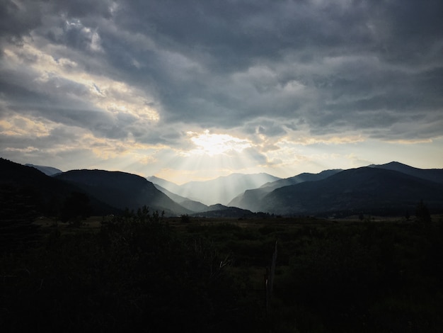 Campo de hierba con plantas con montañas y el sol brillando a través de las nubes en el fondo