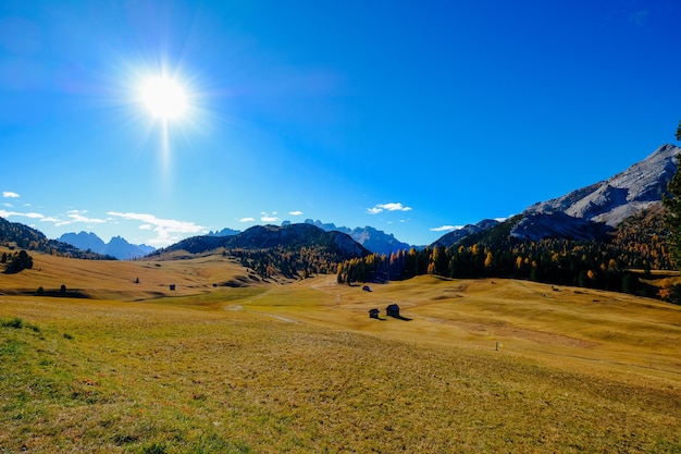 Campo de hierba seca con árboles altos y una montaña con el sol brillando en el cielo azul