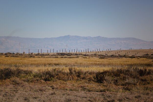 Campo de hierba verde cerca de la montaña bajo un cielo azul durante el día