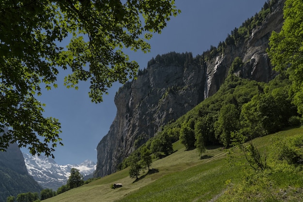 Campo de hierba verde cerca de la montaña rocosa bajo un cielo azul durante el día