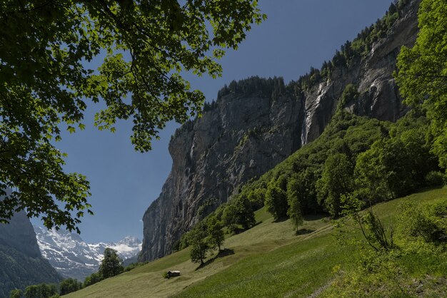 Campo de hierba verde cerca de la montaña rocosa bajo un cielo azul durante el día