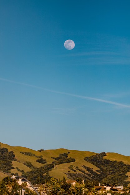 Campo de hierba verde bajo un cielo azul durante el día