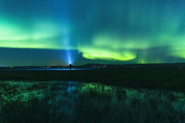 Campo de hierba verde bajo un cielo azul