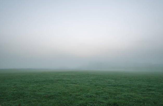 Campo de hierba verde bajo cielo blanco y gris