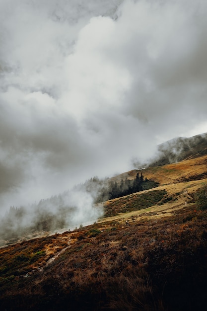 Campo de hierba verde bajo nubes blancas