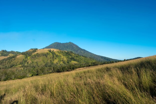 Campo inclinado con vistas a la montaña en la superficie